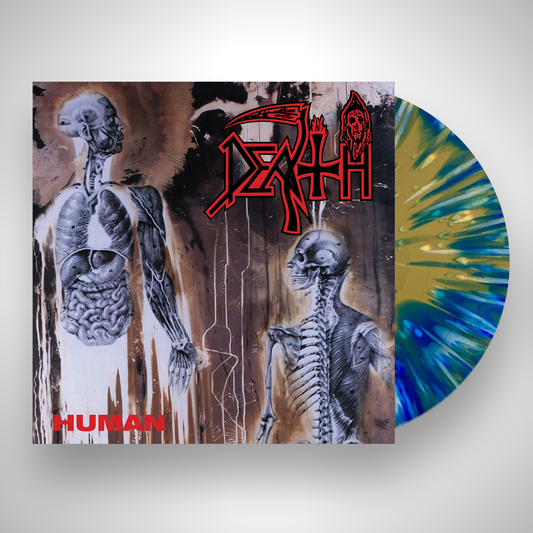 Human - Bone & Blue & Gold Splatter